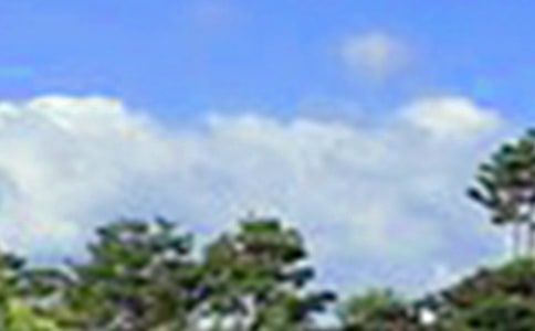 ���������簲�İ���ȫ60�侫ѡ