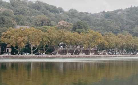 �������������ľ�ѡ3ƪ