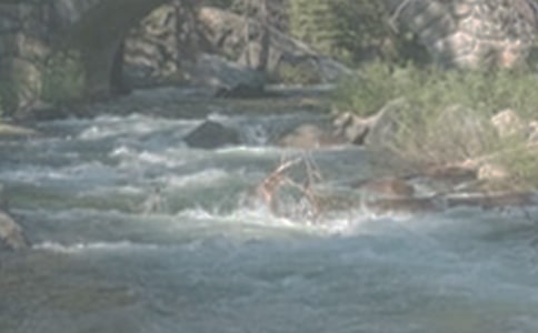 ��СϪ���ĸ衷��ϰ�⼰��