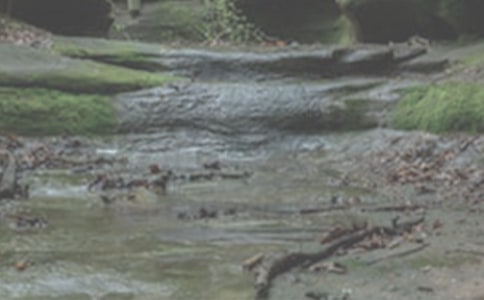 ����СϪ���ĸ衷�иУ�ͨ��17ƪ��