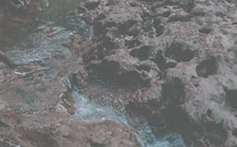 ����СϪ���ĸ衷���