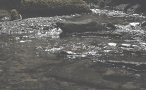 (ʵ��)СϪ���ĸ�����9ƪ