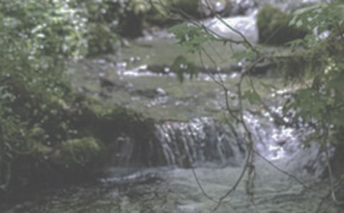 �����е�Ϫ��ʫ������