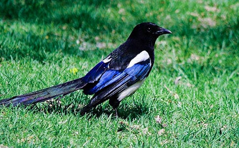 ����ϲȵ��ѧ��˼����ѡ18ƪ��