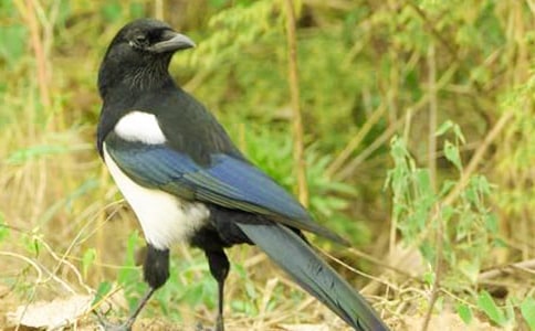 �����ϵ�ϲȵ��˼����ѡ10ƪ��