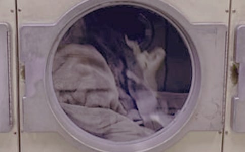 ϴ�·�������15ƪ�����ϡ�