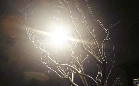 下雪幽默句子(精选230句)