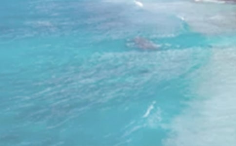 ɽͤ����ԭ�ġ����ġ�ע�ͼ�����