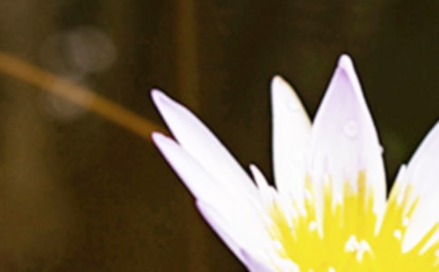 �����ļ�̾�����ӣ���ѡ230�䣩