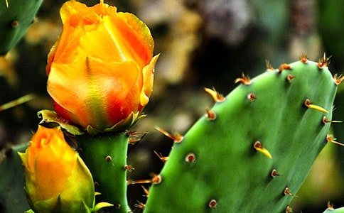 ���������ģ�����15ƪ��