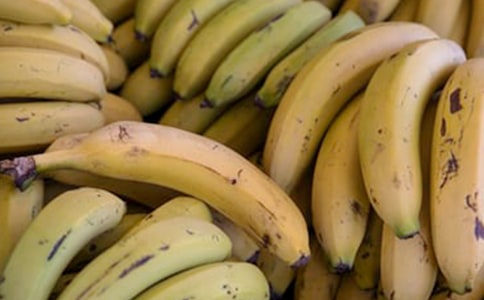 �㽶��ѧ������¼