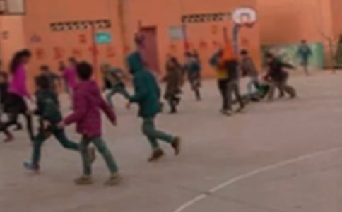 2022���Сѧɭ�ַ���Ӧ��Ԥ����ͨ��5ƪ��