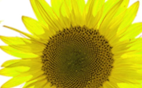 ���տ���˵˵15ƪ