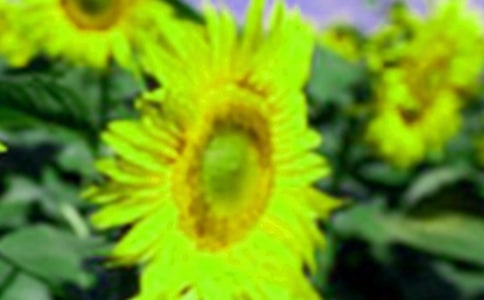 ���տ���ֽ��ȫ����ʵ��