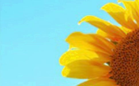 �����տ�����