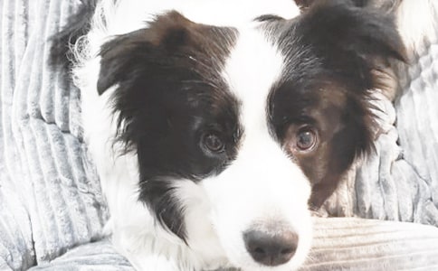 �ɰ�С��ͼƬ��ȫ��ͨ