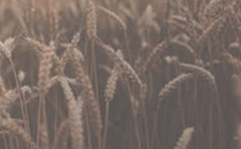 С�������