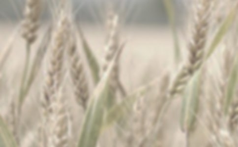 �������ϵ���С�󡷶����