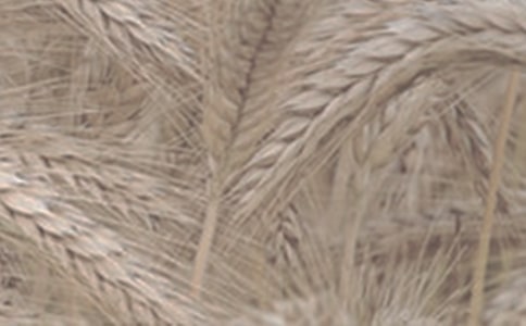 С������ͳһ������䴫˵