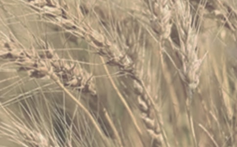 �۲�С��ɳ����ռ�