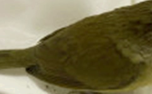 �ұ��С������300�֣�ͨ��59ƪ��