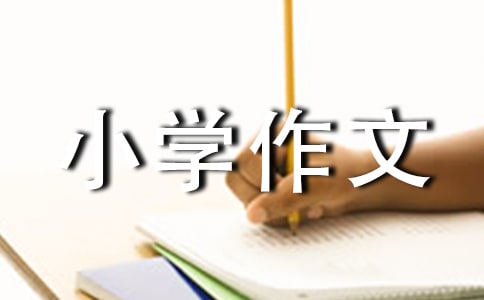 实用的我的姐姐小学作文300字3篇