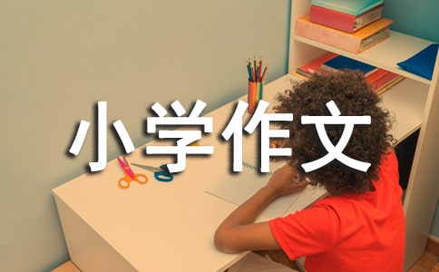 感悟人生小学作文