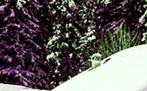 【精品】小雪节气文案