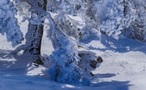 小雪节气简短文案