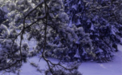 关于小雪节气的文案大全