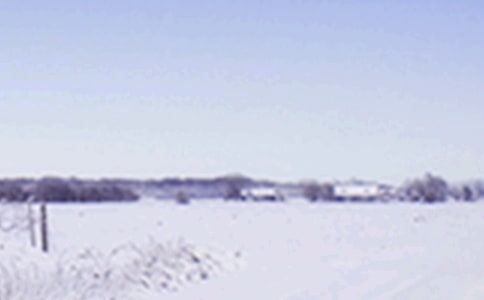 2021关于小雪节气的文案