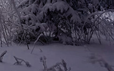 小雪节气文案汇总