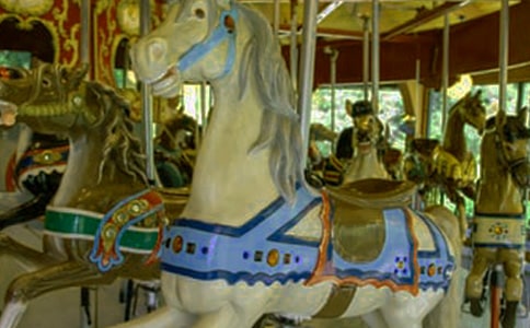 ��תľ�����ļ���(11ƪ)