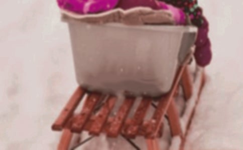 ��ѩ���������