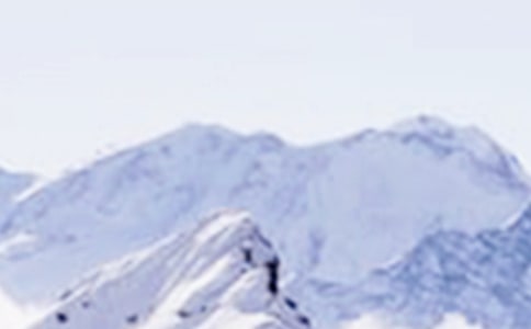 ��ѩɽ��԰���Ľ�ѧ���