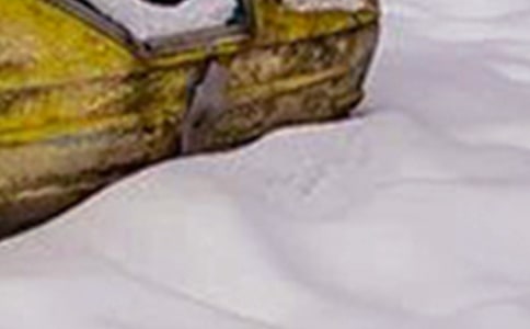 冬季雪灾应急预案范文(精选7篇)