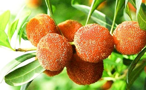 ժ��÷����15ƪ[����]