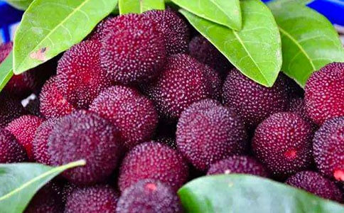 ժ��÷���ģ�ʵ�ã�