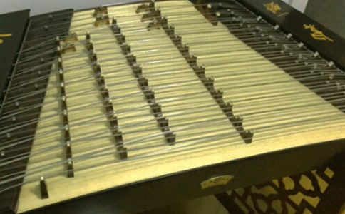 ��������Щ��ѧרҵ