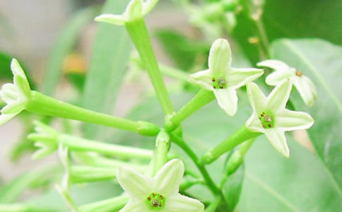 ҹ�������ľ���(14ƪ)