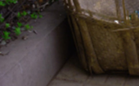 һֻ������ݽ���