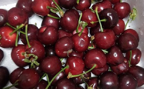 ����ӣ������ֳ����