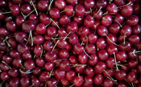 ժӣ������