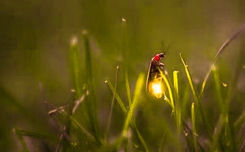 ����ө��������4ƪ����ѡ��