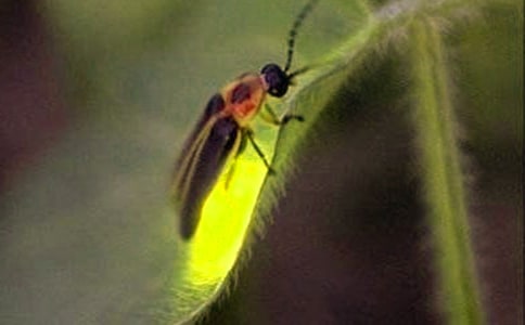 ө������ģ���ѡ39ƪ��