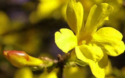 ӭ��������15ƪ