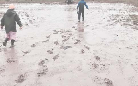 ����������Դ������״������