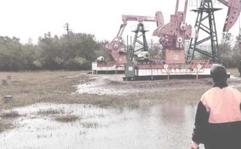 ���ﶬ����ȫ���������������ģ�ͨ��8ƪ��