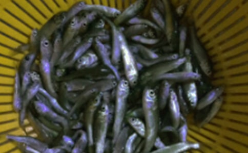 ���繺���ͬ�ο�ʾ����ͨ��5ƪ��