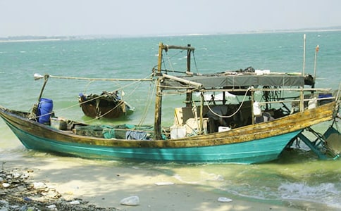 �Ը��ס��洬�ͳ�Ϊ�������